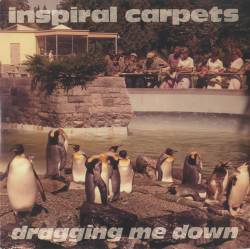 Inspiral Carpets : Dragging Me Down